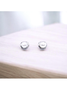 PENDIENTES PLATA                                                      