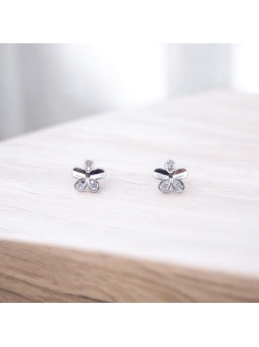 PENDIENTES PLATA                                                      