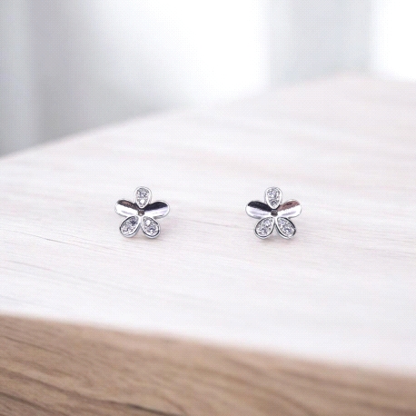 PENDIENTES PLATA                                                      
