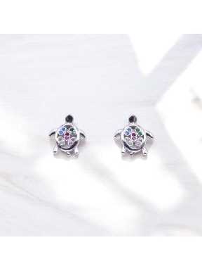 PENDIENTES PLATA                                                      
