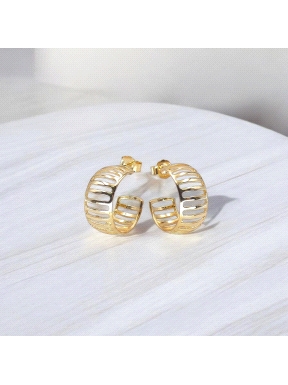 PENDIENTES PLATA                                                      