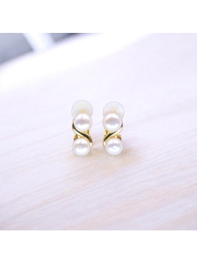 PENDIENTES PLATA                                                      