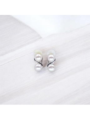PENDIENTES PLATA                                                      
