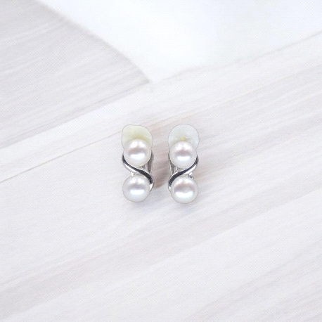 PENDIENTES PLATA                                                      