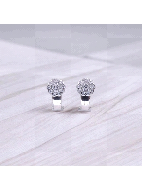 PENDIENTES PLATA                                                      