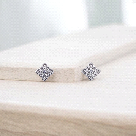 PENDIENTES PLATA                                                      