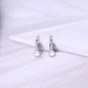 PENDIENTES PLATA                                                      