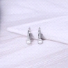 PENDIENTES PLATA                                                      