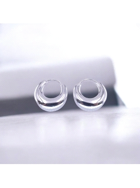 PENDIENTES PLATA                                                      
