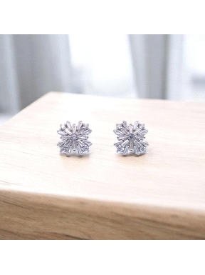 PENDIENTES PLATA                                                      