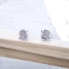 PENDIENTES PLATA                                                      