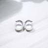 PENDIENTES PLATA
