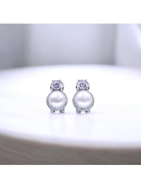 PENDIENTES PLATA