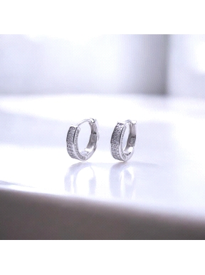 PENDIENTES PLATA