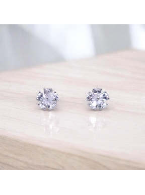 PENDIENTES PLATA