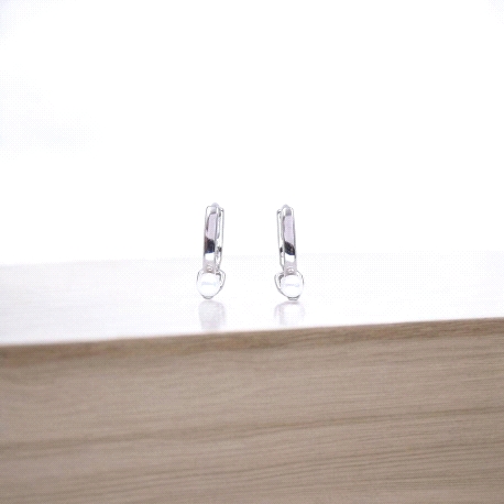 PENDIENTES PLATA                                                      