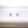 PENDIENTES PLATA                                                      