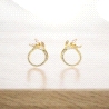 PENDIENTES PLATA                                                      