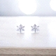 PENDIENTES PLATA                                                      