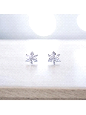 PENDIENTES PLATA                                                      