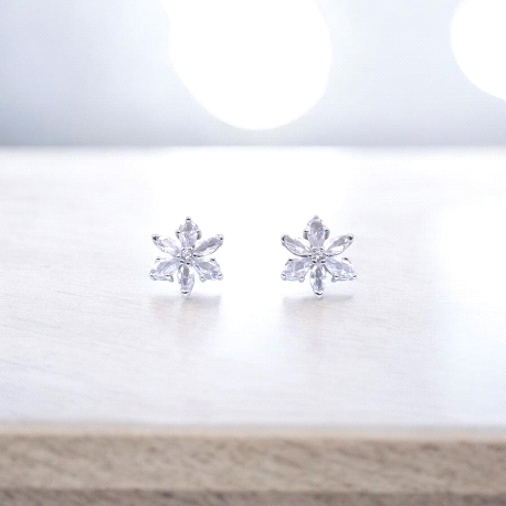 PENDIENTES PLATA                                                      