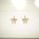 PENDIENTES PLATA                                                      