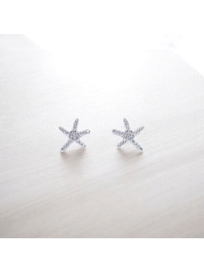 PENDIENTES PLATA                                                      