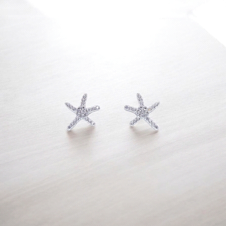PENDIENTES PLATA                                                      