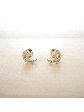 PENDIENTES PLATA                                                      