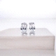PENDIENTES PLATA                                                      