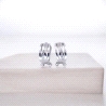 PENDIENTES PLATA                                                      
