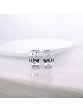 PENDIENTES PLATA                                                      