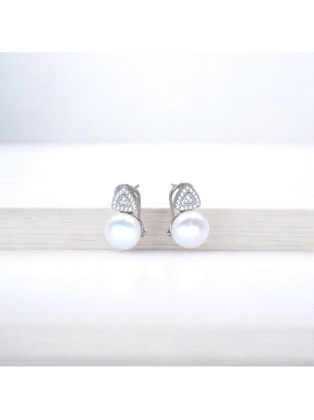 PENDIENTES PLATA                                                      