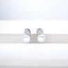PENDIENTES PLATA                                                      