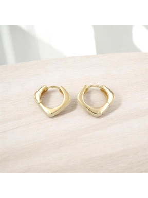 PENDIENTES PLATA                                                      