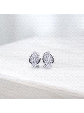 PENDIENTES PLATA                                                      