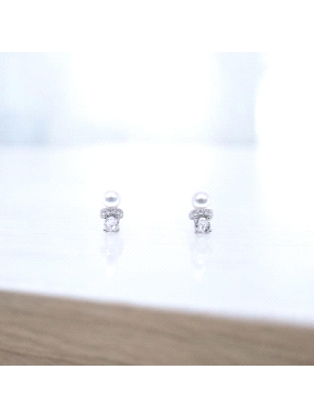 PENDIENTES PLATA                                                      