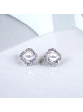 PENDIENTES PLATA                                                      